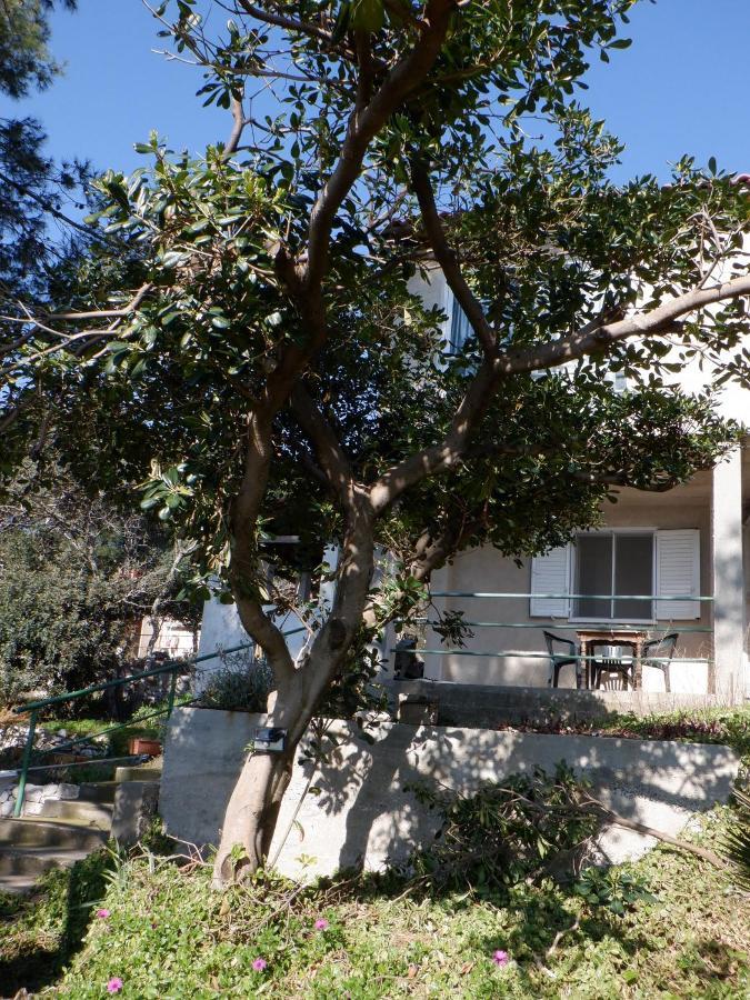 Podskoj Apartments Saplunara Εξωτερικό φωτογραφία