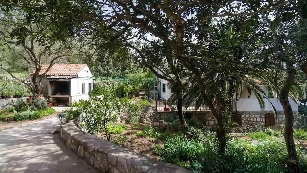 Podskoj Apartments Saplunara Εξωτερικό φωτογραφία